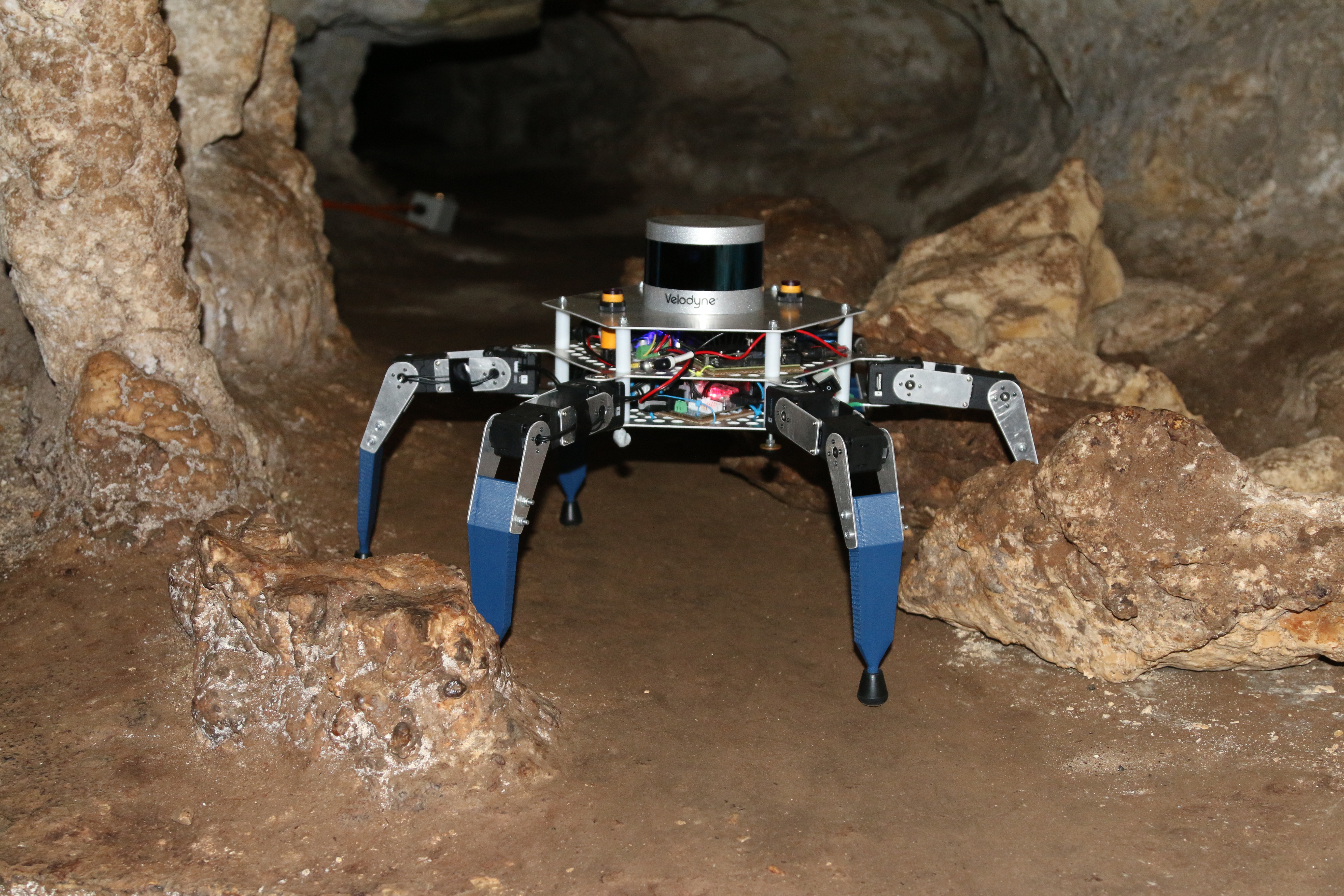cavex thumbnail